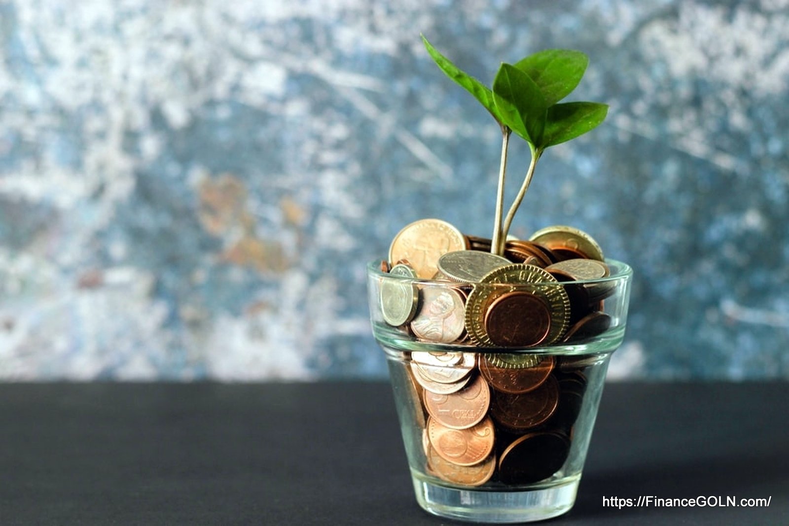 বিভিন্ন বাট্টার ব্যাখ্যা | নগদান বই | অ্যাকাউন্টিং থিউরি