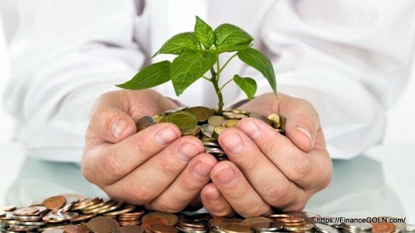 নগদান বইয়ের গুরুত্ব | নগদান বই | অ্যাকাউন্টিং থিউরি