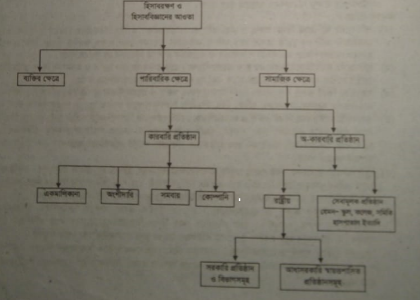 হিসাবরক্ষণ ও হিসাববিজ্ঞানের প্রয়োজনীয়তা এবং আওতা বা পরিধি | হিসাবরক্ষণ ও হিসাববিজ্ঞানের ধারণা | অ্যাকাউন্টিং থিউরি
