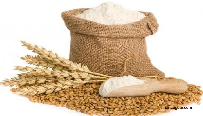 চুরি ধরতে আসছে ড্রোন | সারা সপ্তাহের খবর 